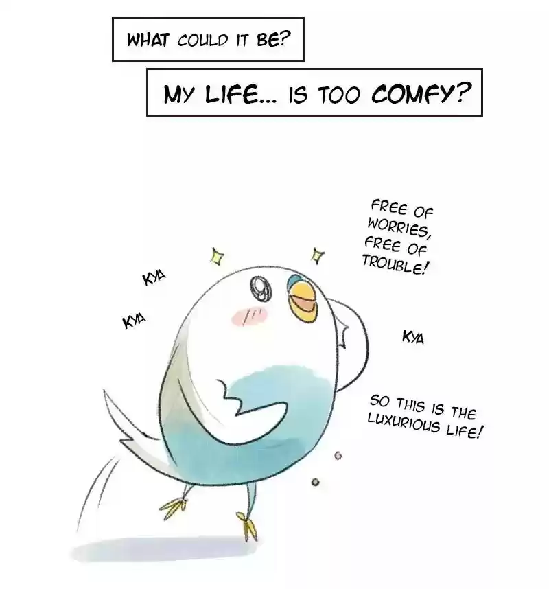 A Budgie's Life Chapter 18: Ep.18: