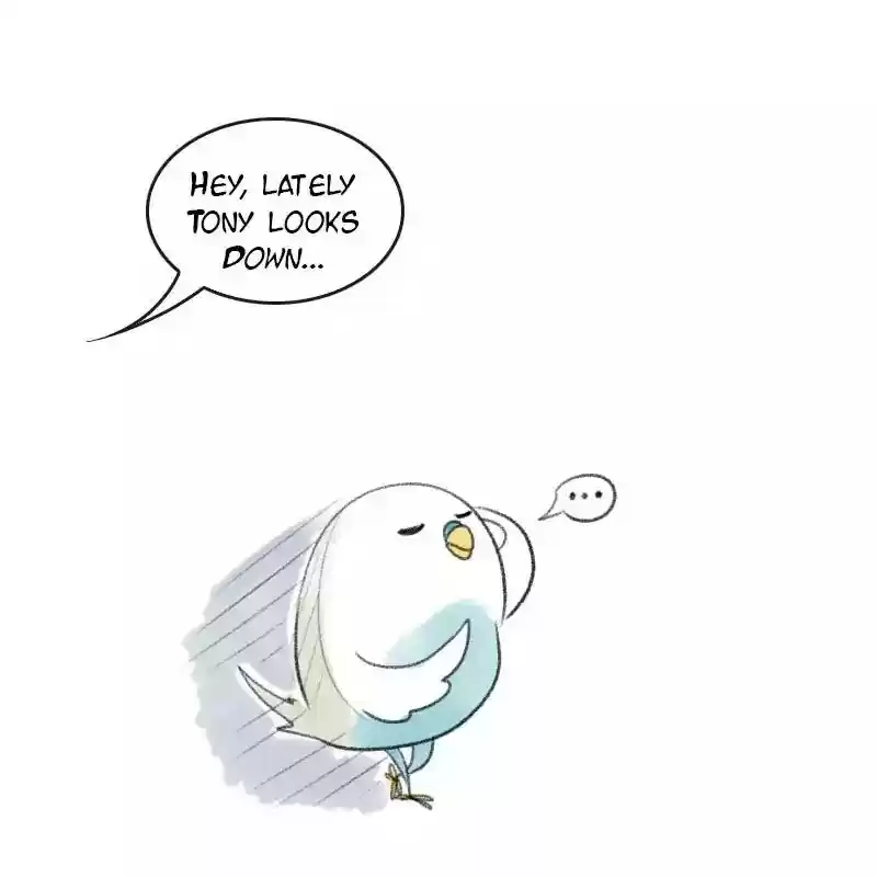 A Budgie's Life Chapter 18: Ep.18: