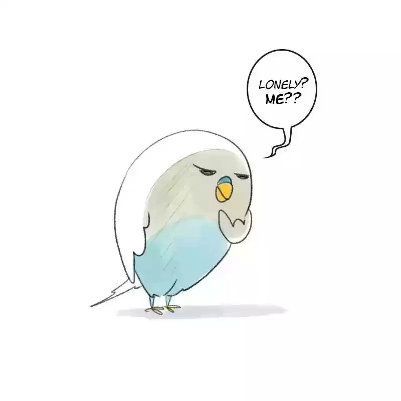 A Budgie's Life Chapter 18: Ep.18: