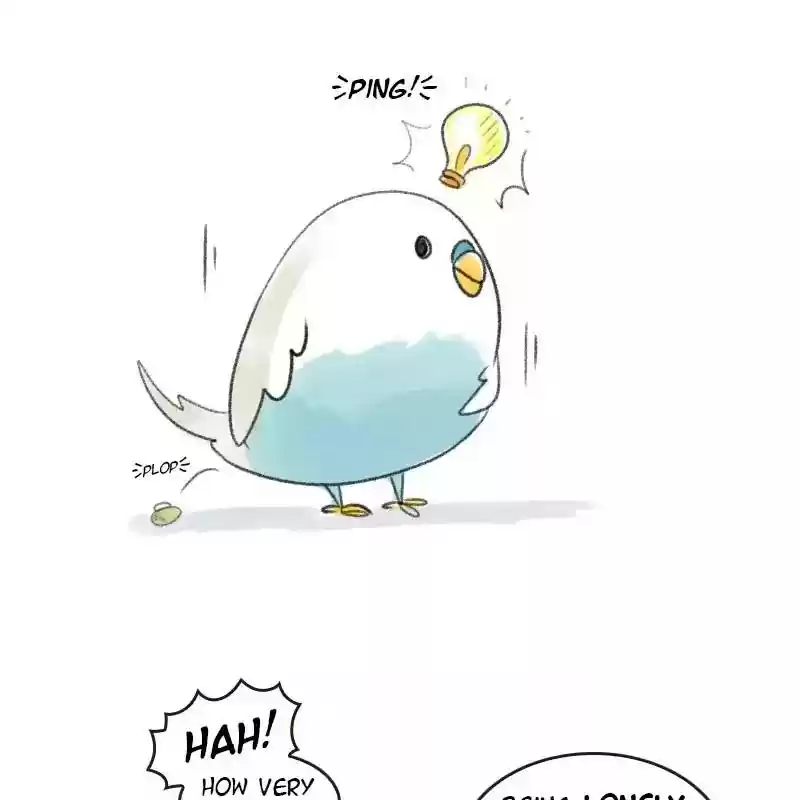 A Budgie's Life Chapter 18: Ep.18: