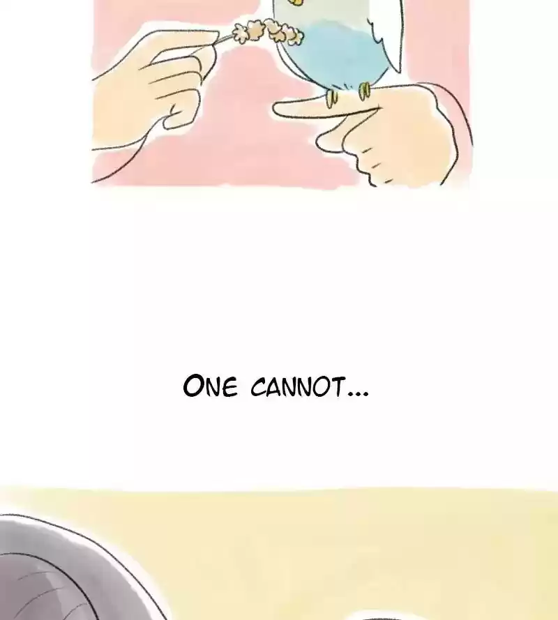 A Budgie's Life Chapter 18: Ep.18: