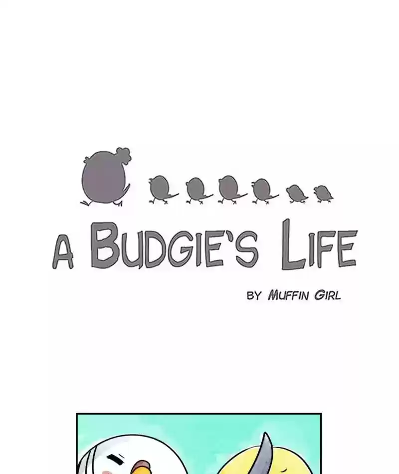 A Budgie's Life Chapter 180: Ep.179: