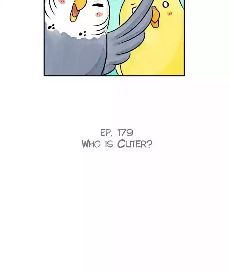 A Budgie's Life Chapter 180: Ep.179: