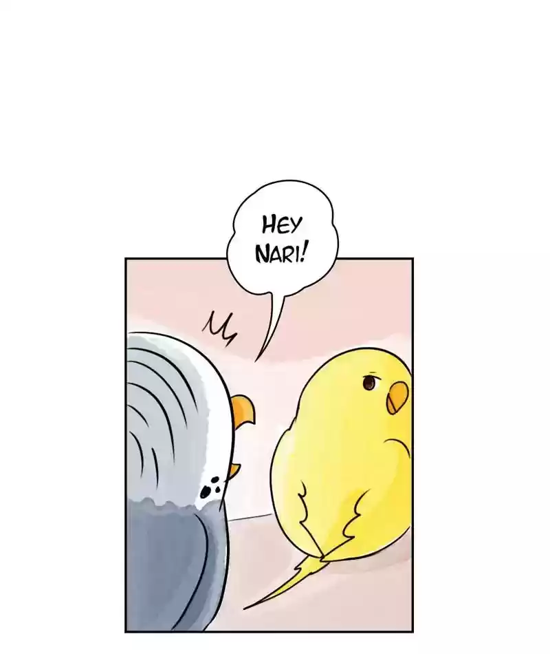 A Budgie's Life Chapter 180: Ep.179: