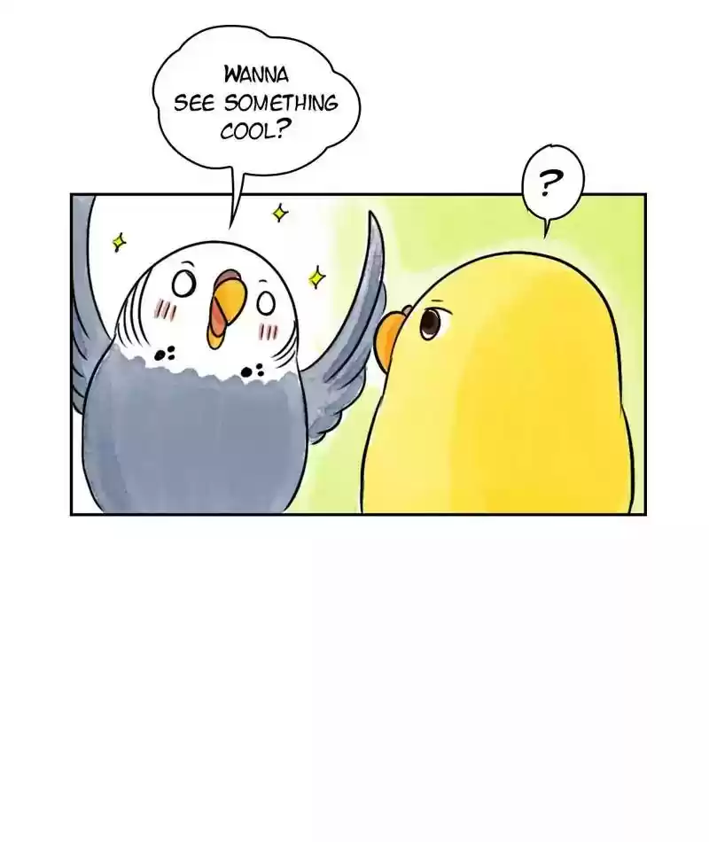 A Budgie's Life Chapter 180: Ep.179: