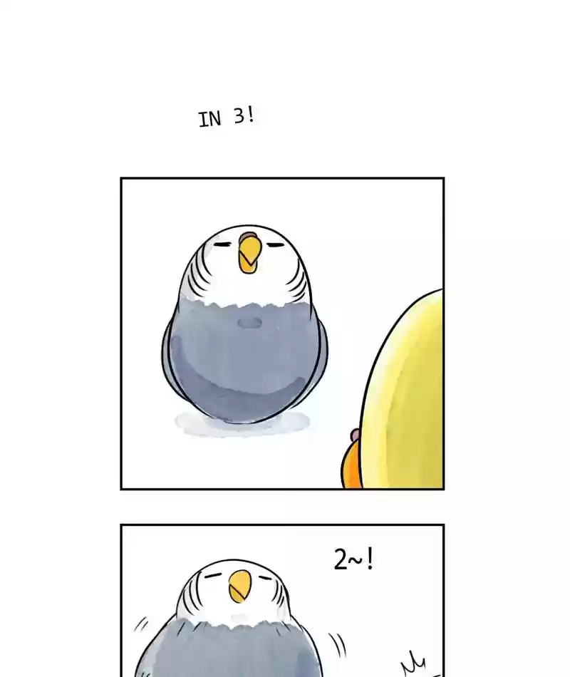 A Budgie's Life Chapter 180: Ep.179: