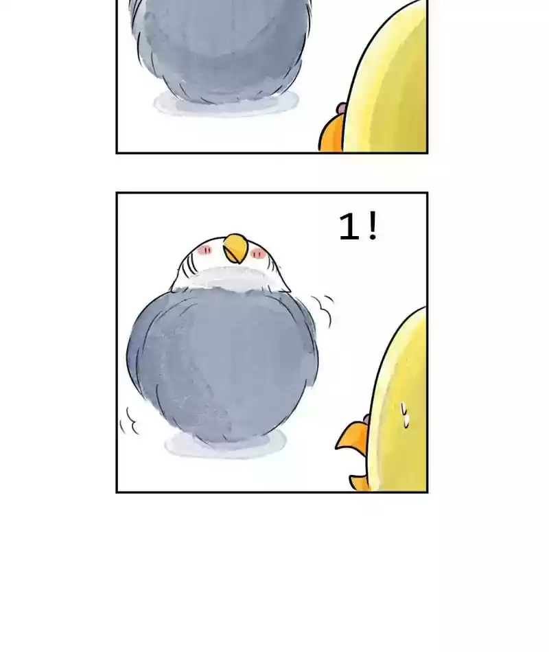 A Budgie's Life Chapter 180: Ep.179: