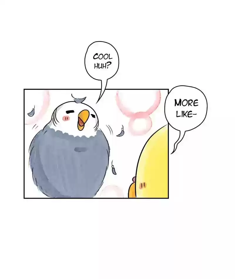 A Budgie's Life Chapter 180: Ep.179: