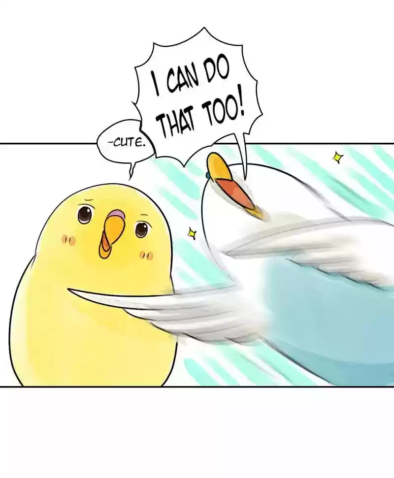 A Budgie's Life Chapter 180: Ep.179: