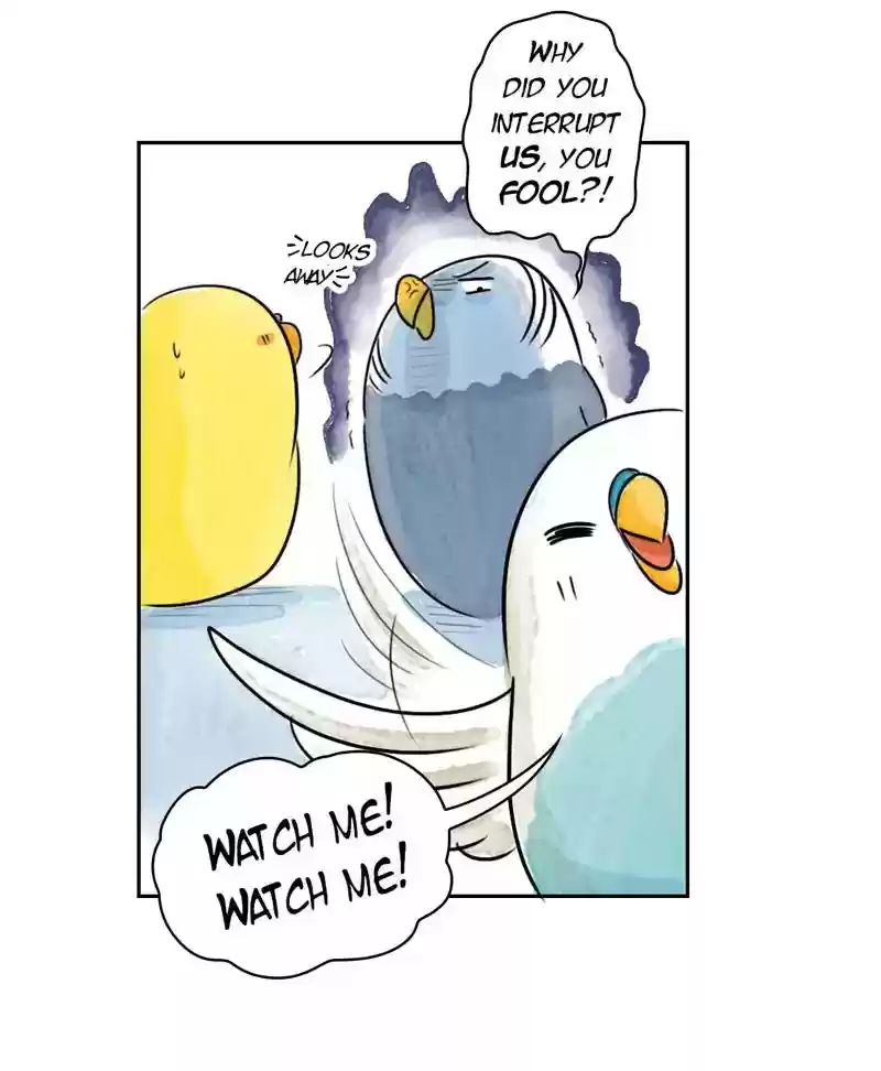 A Budgie's Life Chapter 180: Ep.179: