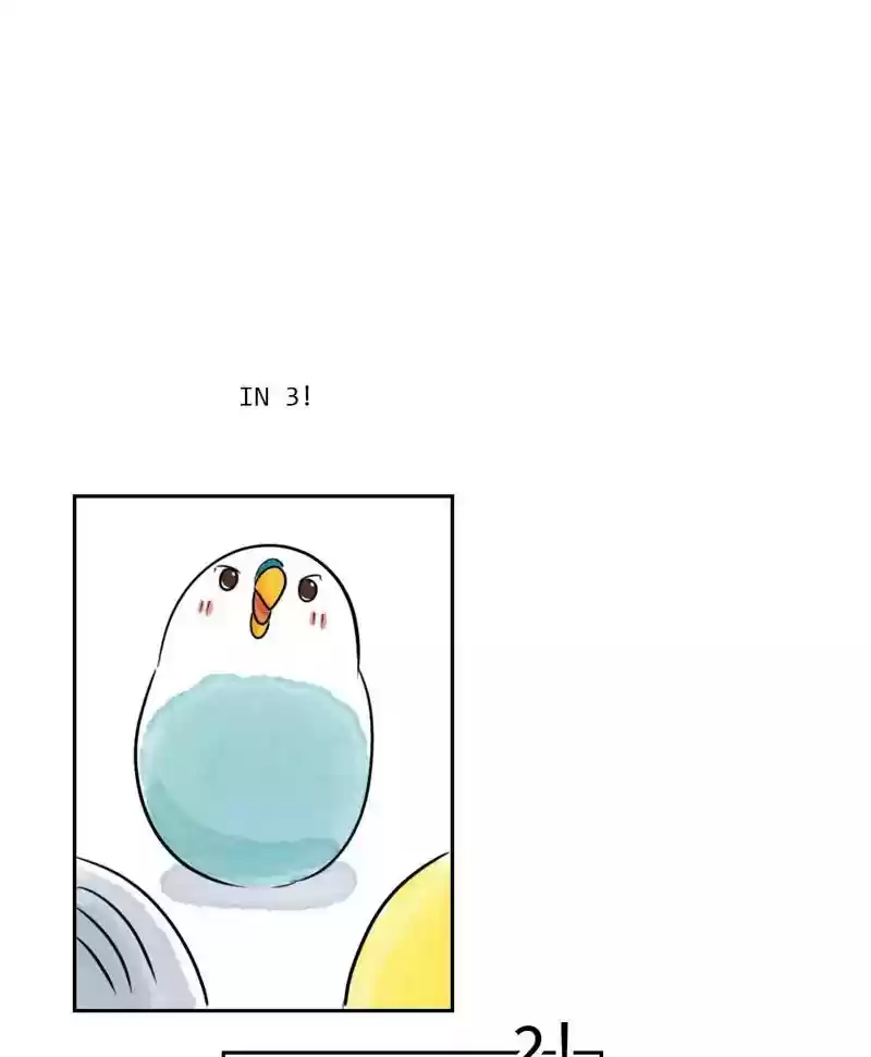 A Budgie's Life Chapter 180: Ep.179:
