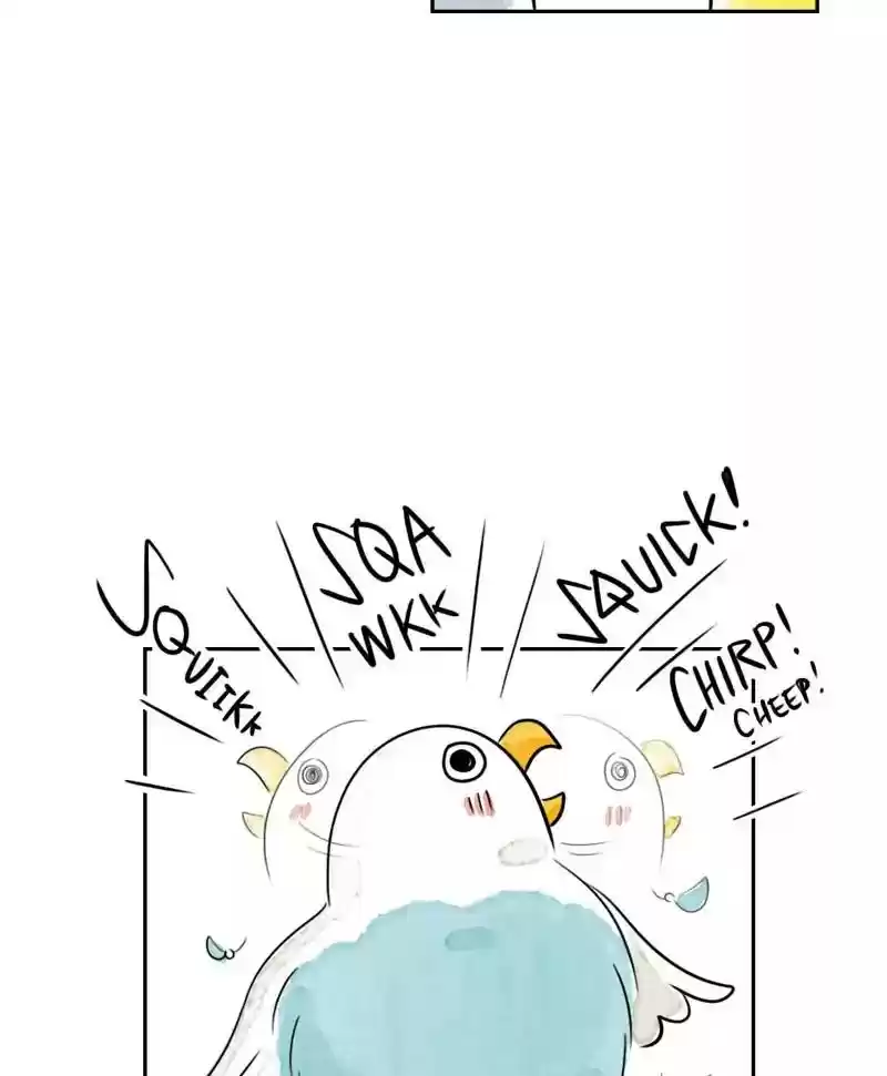 A Budgie's Life Chapter 180: Ep.179: