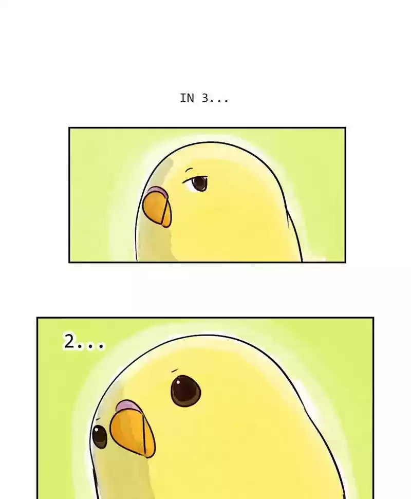 A Budgie's Life Chapter 180: Ep.179: