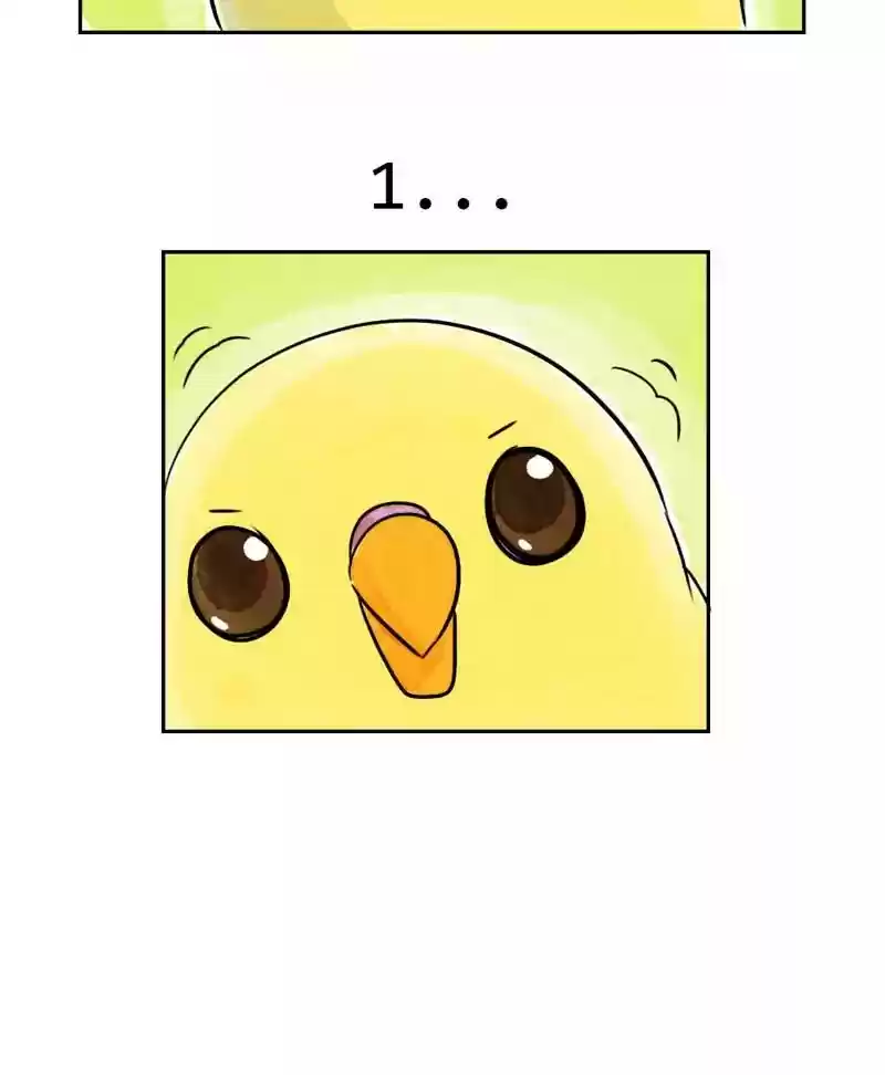 A Budgie's Life Chapter 180: Ep.179: