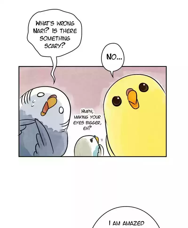 A Budgie's Life Chapter 180: Ep.179: