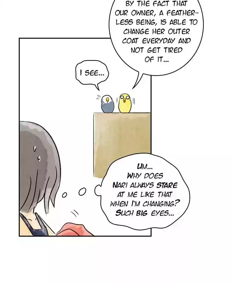 A Budgie's Life Chapter 180: Ep.179: