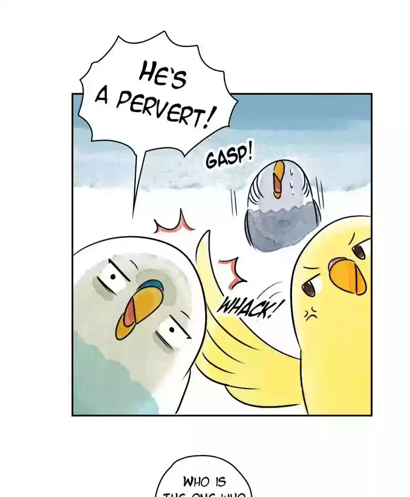 A Budgie's Life Chapter 180: Ep.179: