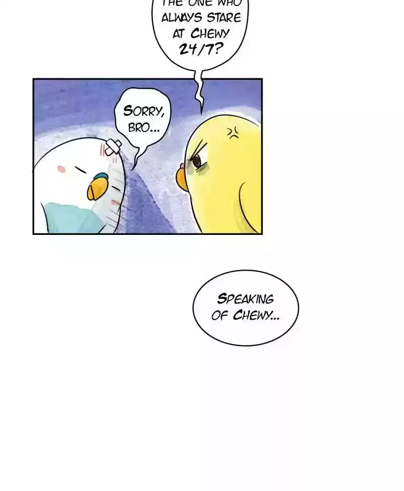 A Budgie's Life Chapter 180: Ep.179: