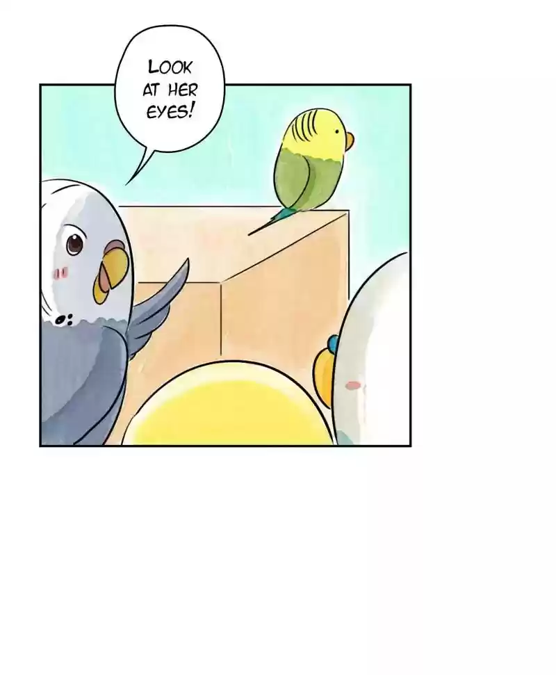 A Budgie's Life Chapter 180: Ep.179: