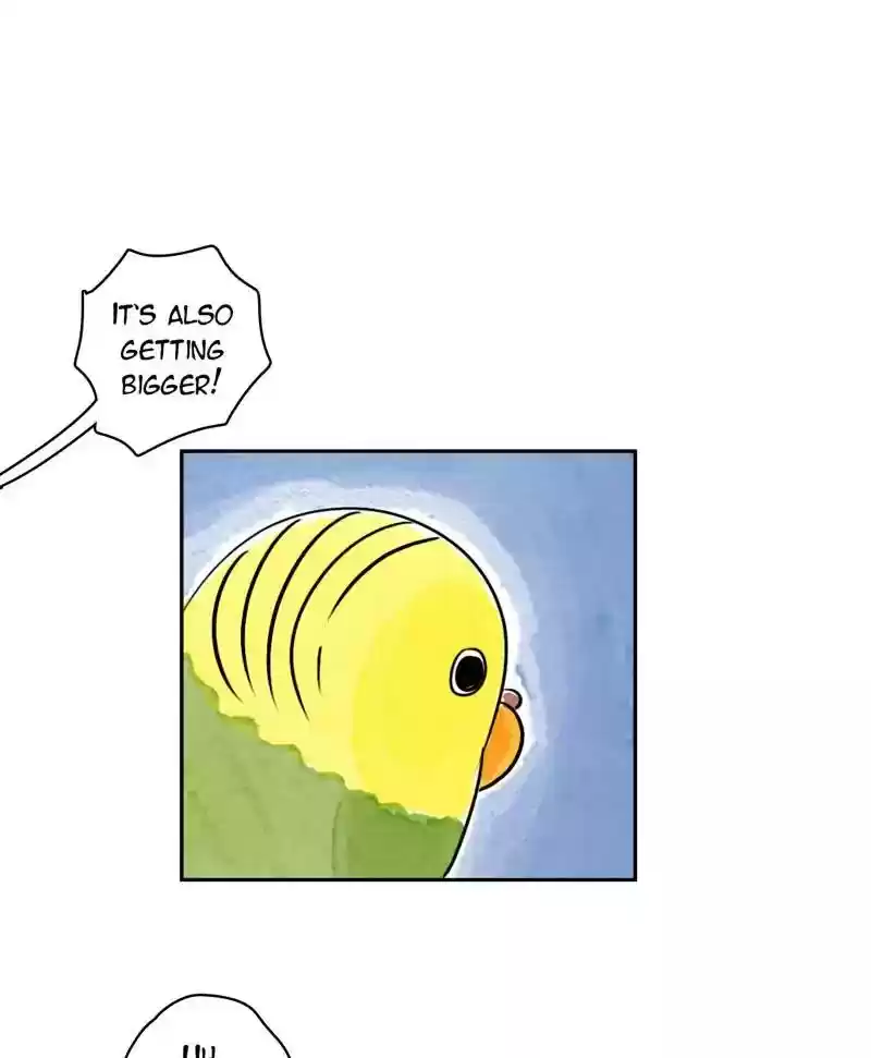 A Budgie's Life Chapter 180: Ep.179: