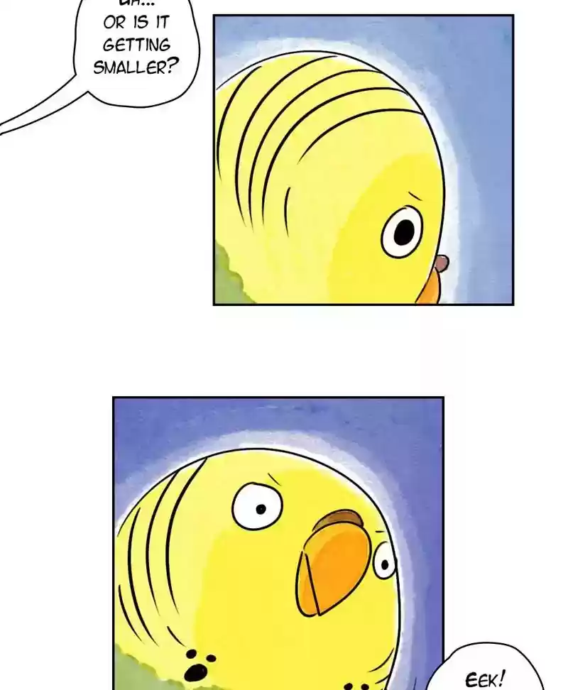 A Budgie's Life Chapter 180: Ep.179: