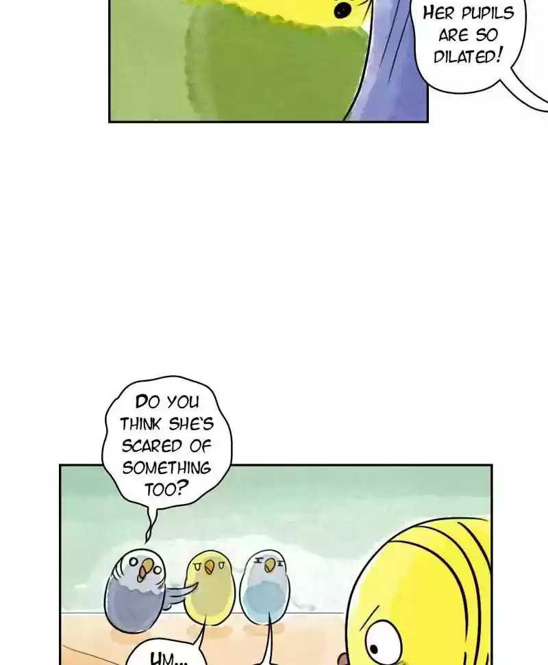 A Budgie's Life Chapter 180: Ep.179: