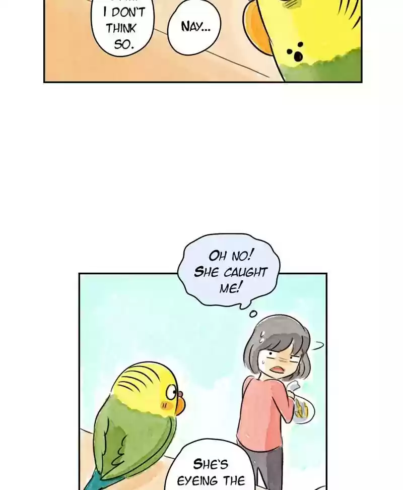 A Budgie's Life Chapter 180: Ep.179: