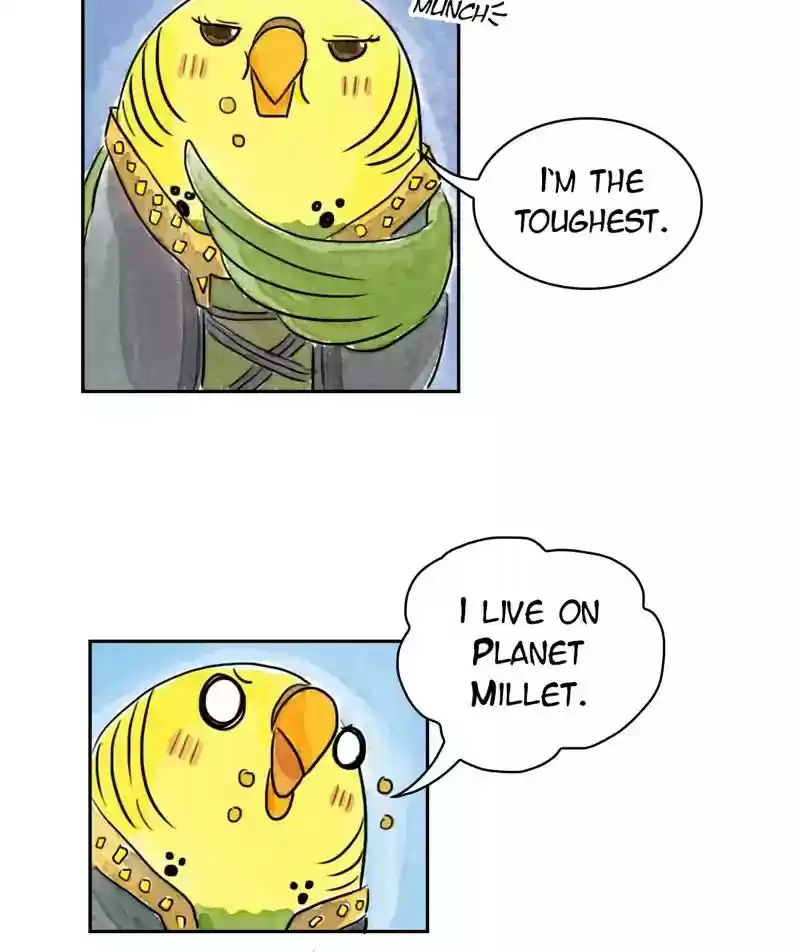 A Budgie's Life Chapter 181: Ep.180: