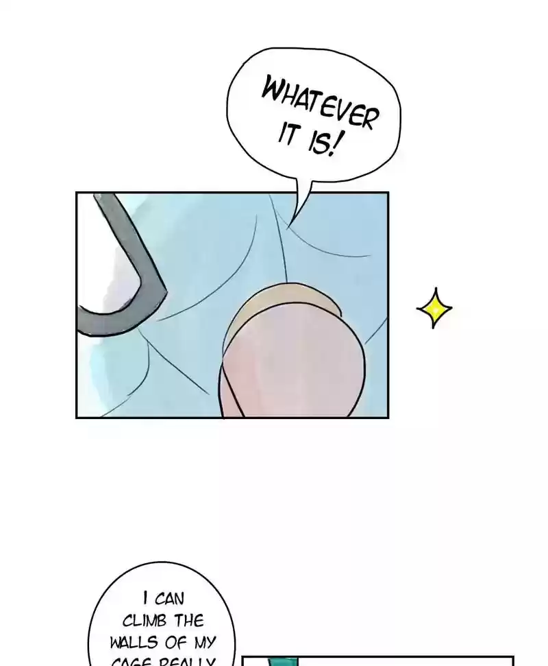 A Budgie's Life Chapter 181: Ep.180: