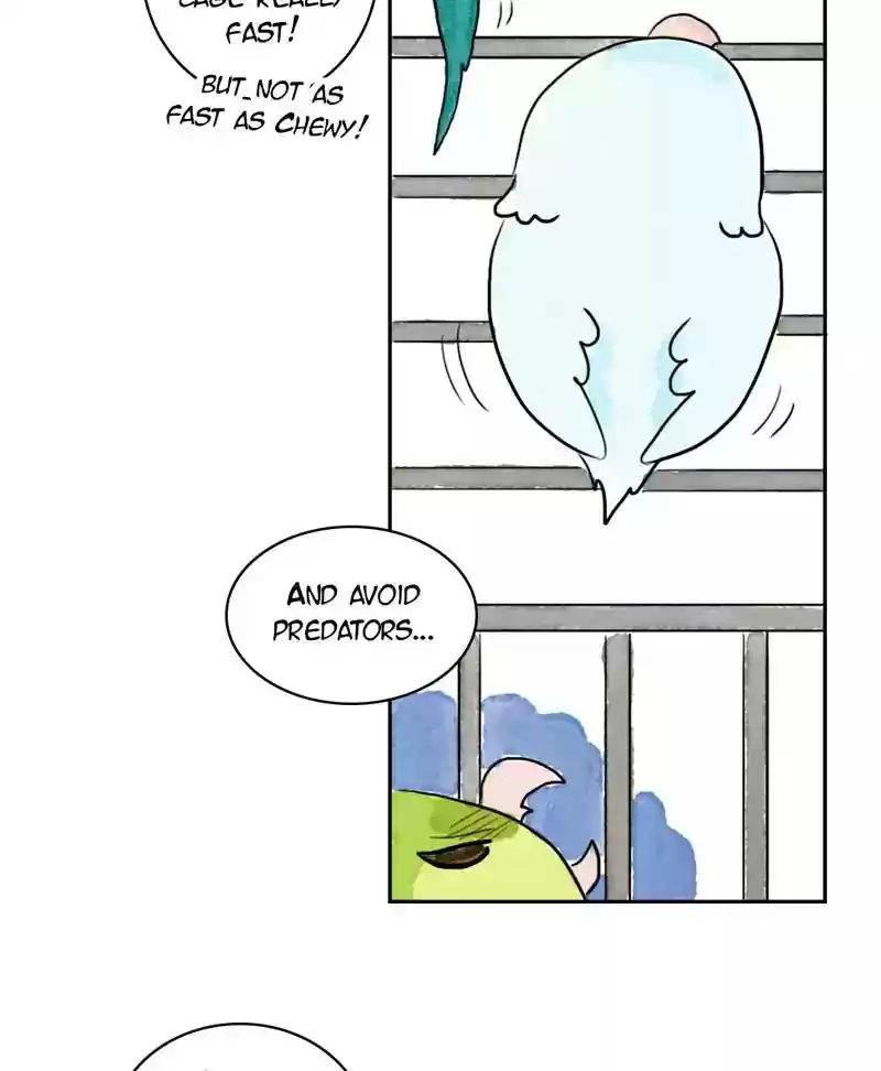 A Budgie's Life Chapter 181: Ep.180: