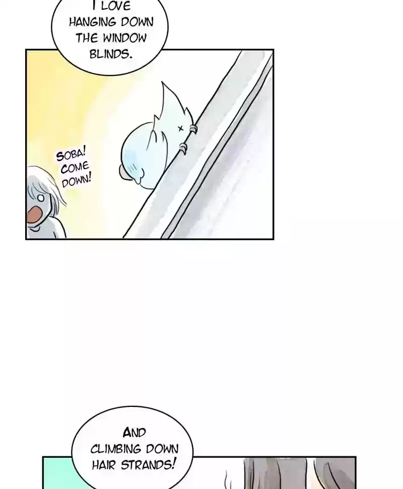 A Budgie's Life Chapter 181: Ep.180: