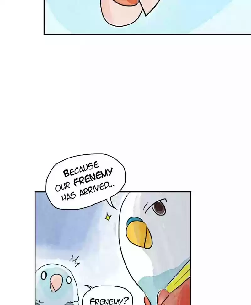 A Budgie's Life Chapter 181: Ep.180: