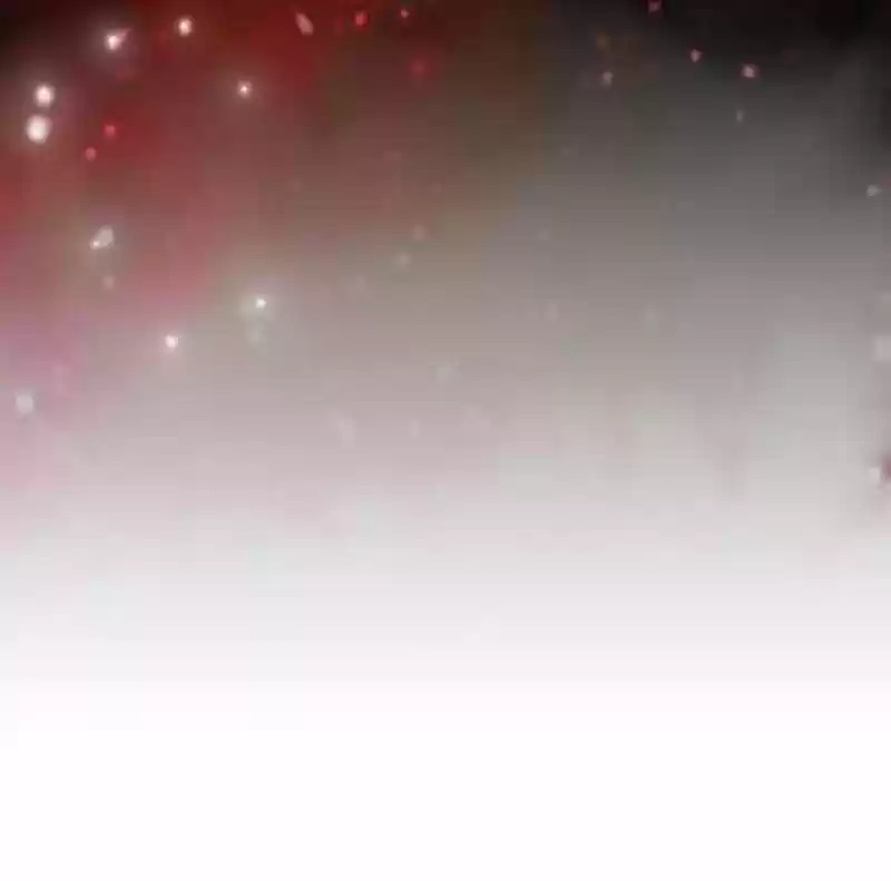 A Budgie's Life Chapter 181: Ep.180: