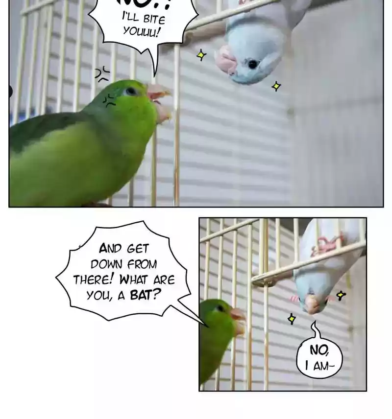 A Budgie's Life Chapter 181: Ep.180: