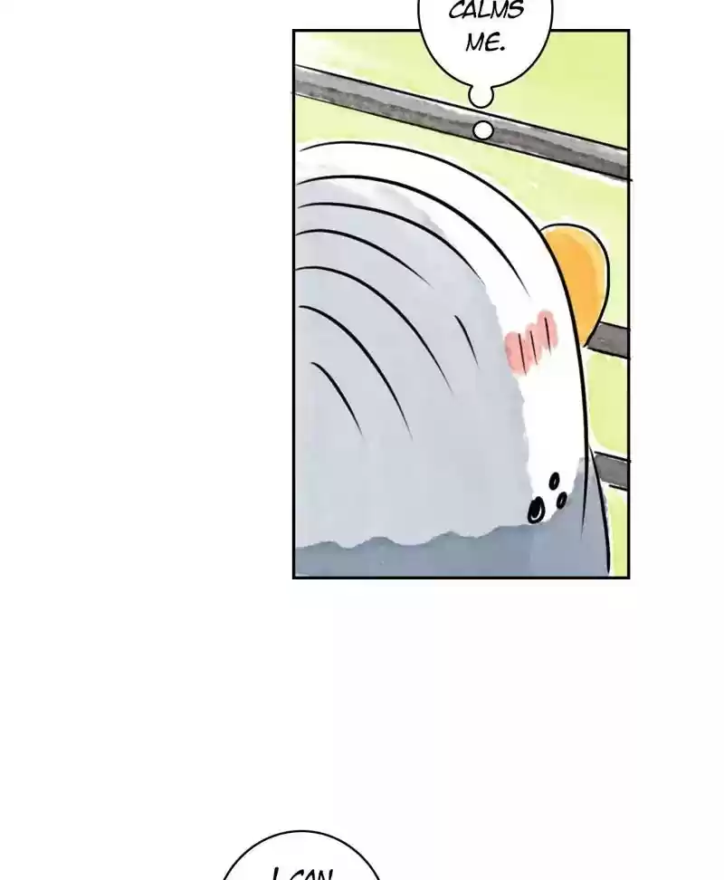 A Budgie's Life Chapter 182: Ep.181: