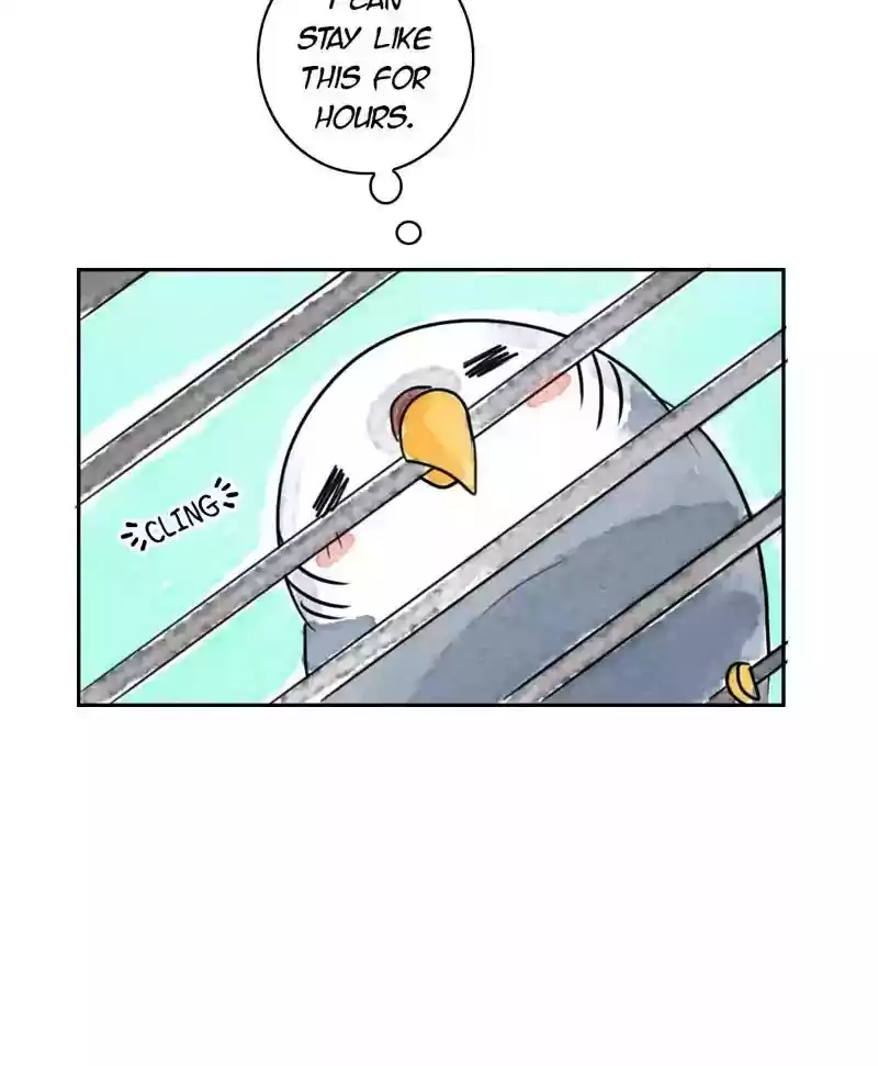 A Budgie's Life Chapter 182: Ep.181: