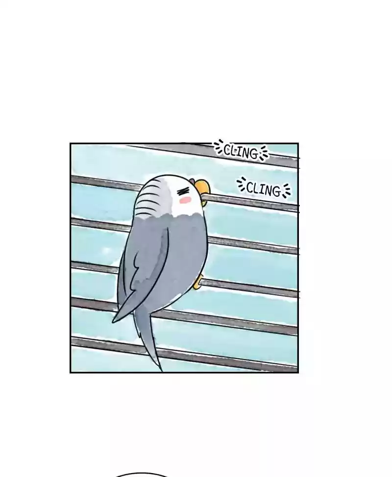 A Budgie's Life Chapter 182: Ep.181: