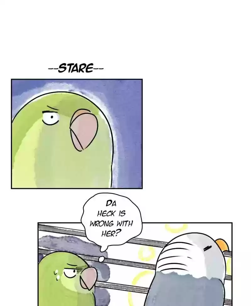 A Budgie's Life Chapter 182: Ep.181:
