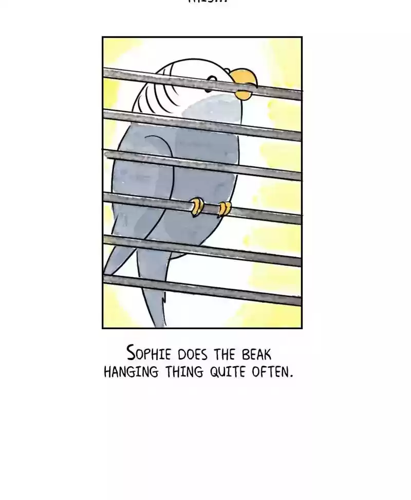 A Budgie's Life Chapter 182: Ep.181: