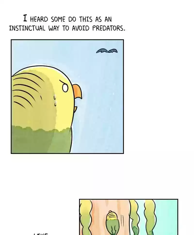 A Budgie's Life Chapter 182: Ep.181: