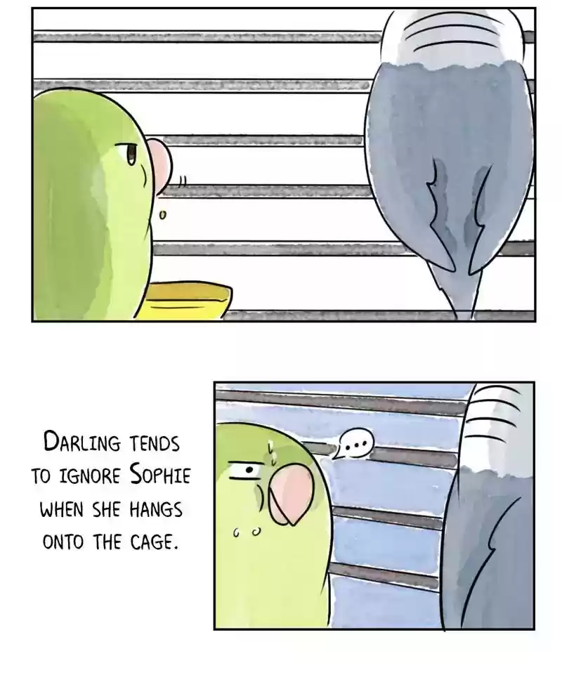A Budgie's Life Chapter 182: Ep.181: