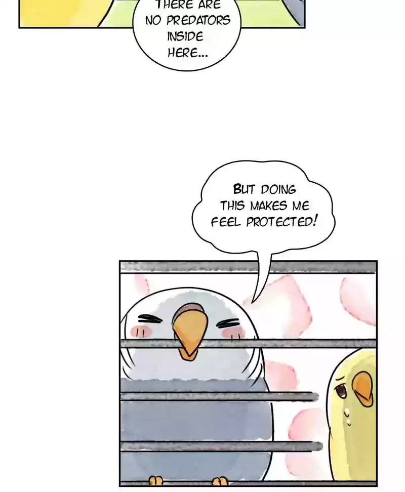 A Budgie's Life Chapter 182: Ep.181: