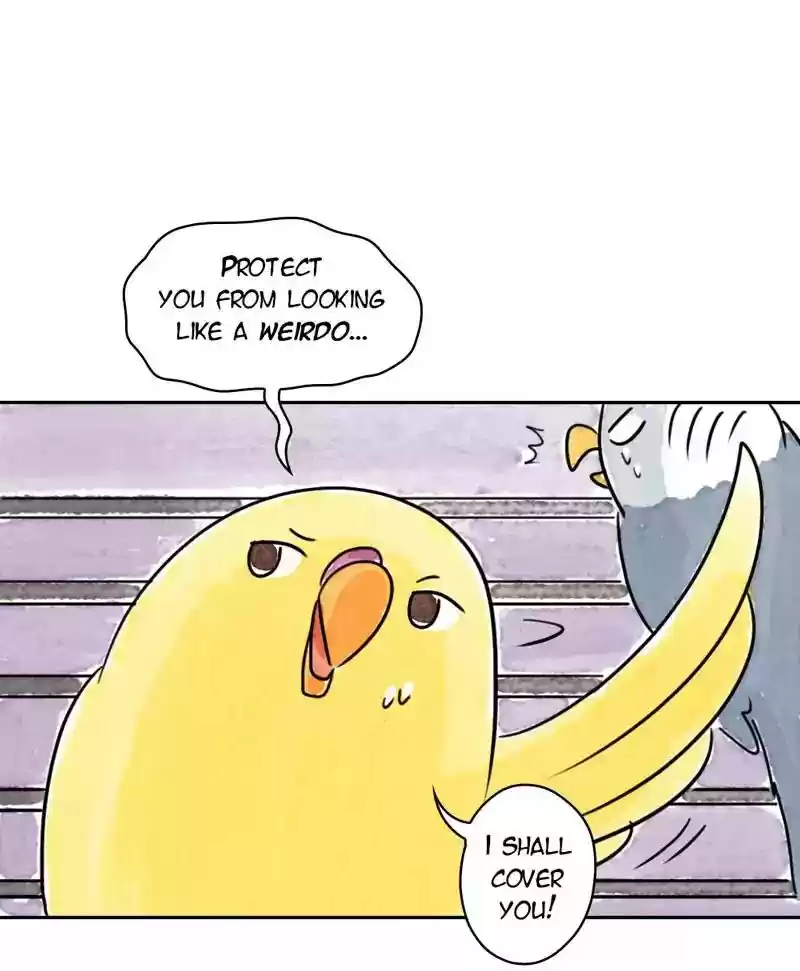 A Budgie's Life Chapter 182: Ep.181: