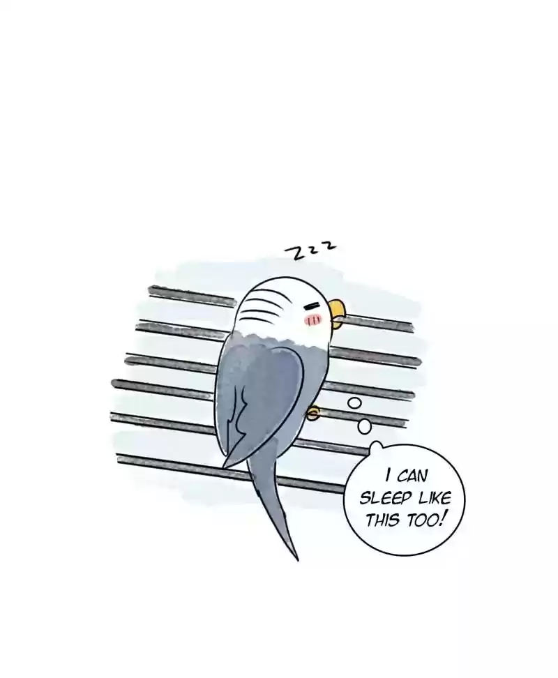 A Budgie's Life Chapter 182: Ep.181: