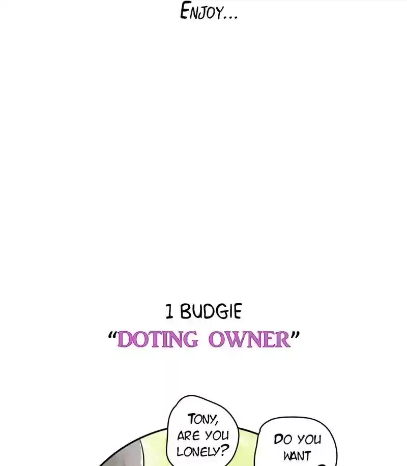 A Budgie's Life Chapter 183: Ep.182: