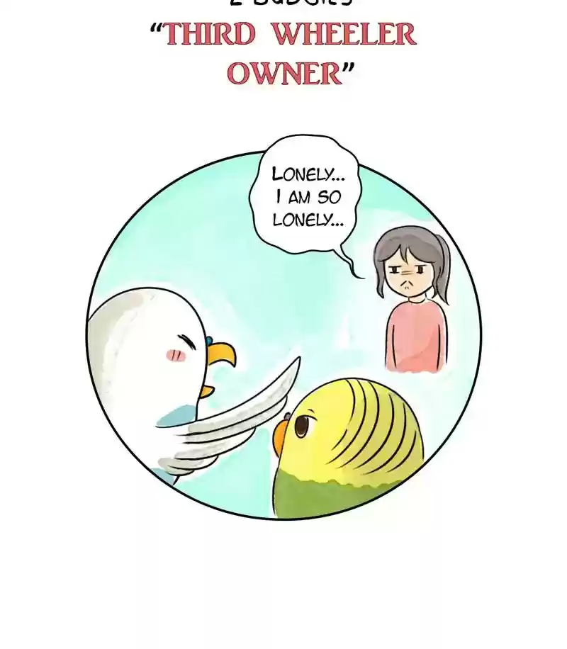 A Budgie's Life Chapter 183: Ep.182: