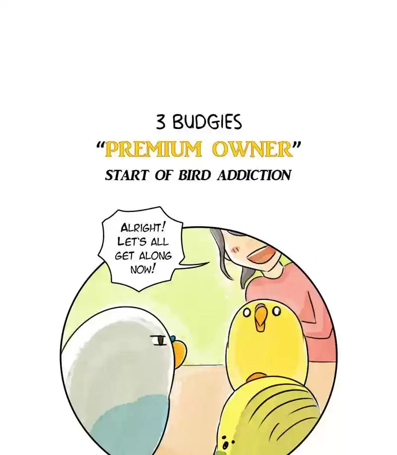 A Budgie's Life Chapter 183: Ep.182: