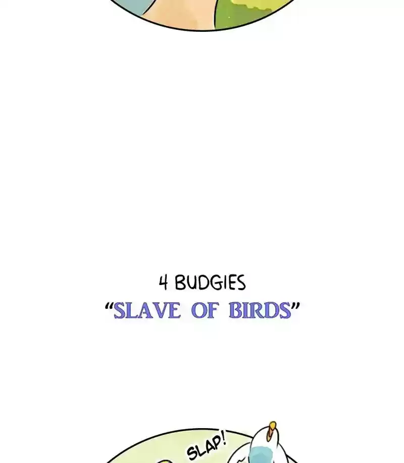 A Budgie's Life Chapter 183: Ep.182: