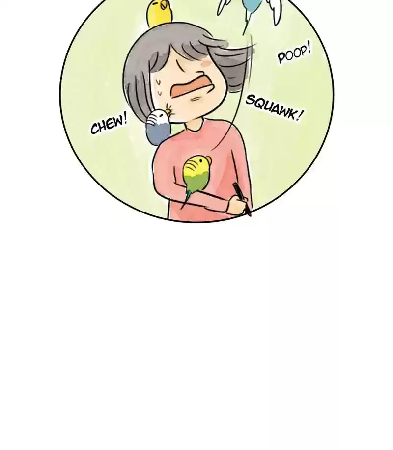 A Budgie's Life Chapter 183: Ep.182: