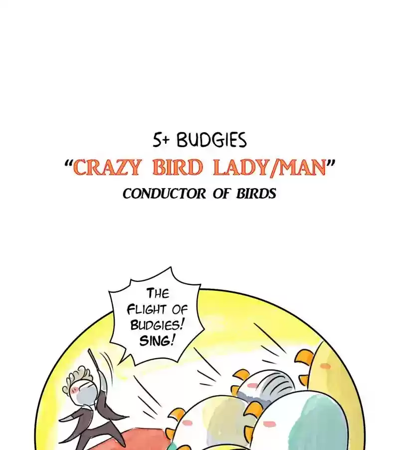 A Budgie's Life Chapter 183: Ep.182: